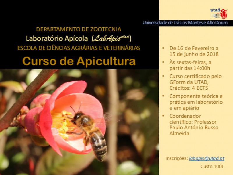 Cartaz do curso de apicultura